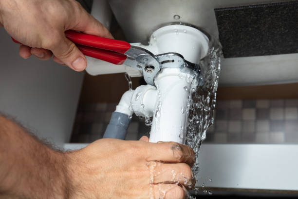 Best Ceiling water damage repair  in Cold Springs, NV