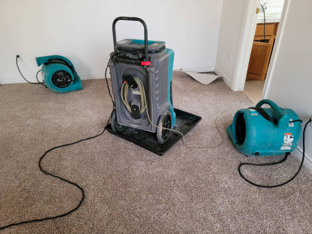 Water damage restoration insurance claims in NV
