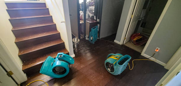 Best Water damage restoration insurance claims  in Cold Springs, NV