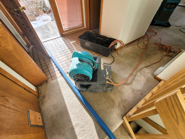 Best Sewage cleanup and water damage restoration  in Cold Springs, NV