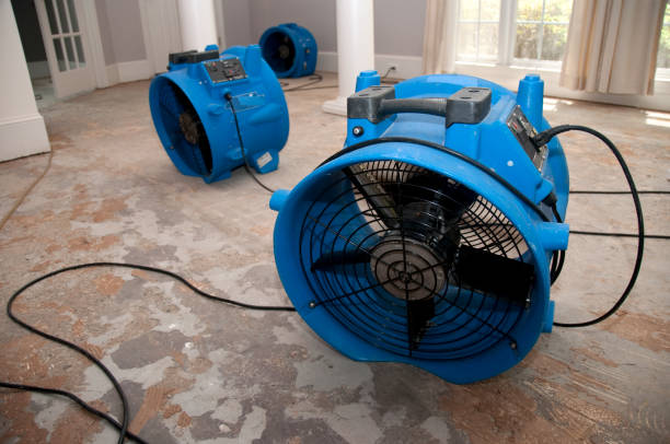 Best Commercial water damage restoration  in Cold Springs, NV
