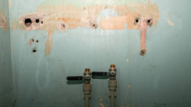 Trusted NV Water damage restoration Experts