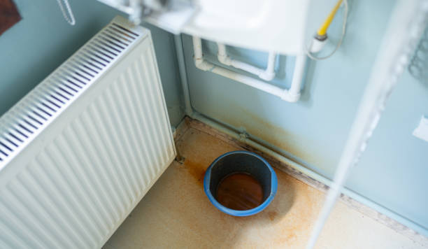 Best 24-hour water damage restoration  in Cold Springs, NV