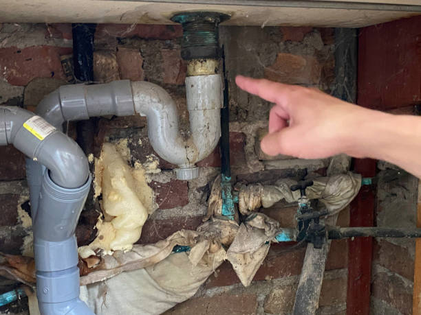 Best Residential water damage restoration  in Cold Springs, NV