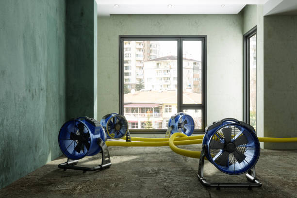  Cold Springs, NV Water damage restoration Pros