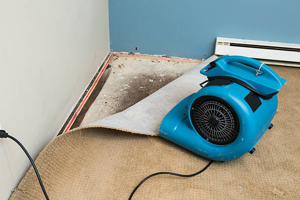 Best Emergency water damage restoration  in Cold Springs, NV